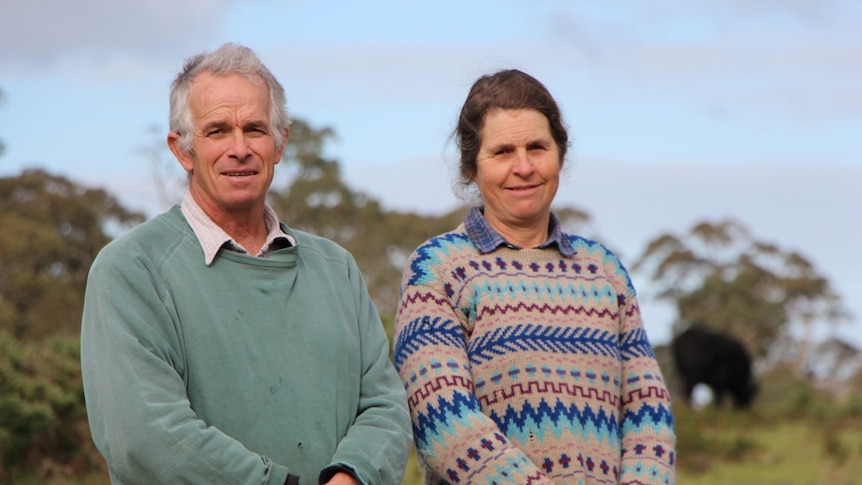 Husband and wife farmers standing in a paddock with angus cattle in the background