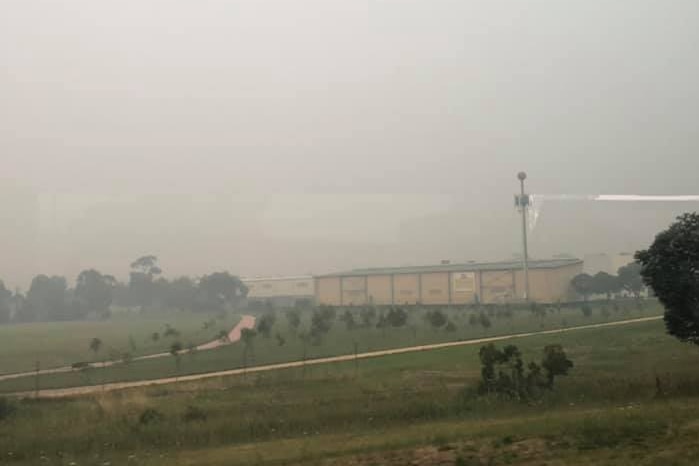 Heavy smoke pollution looks like fog over a paddock in Dandenong.