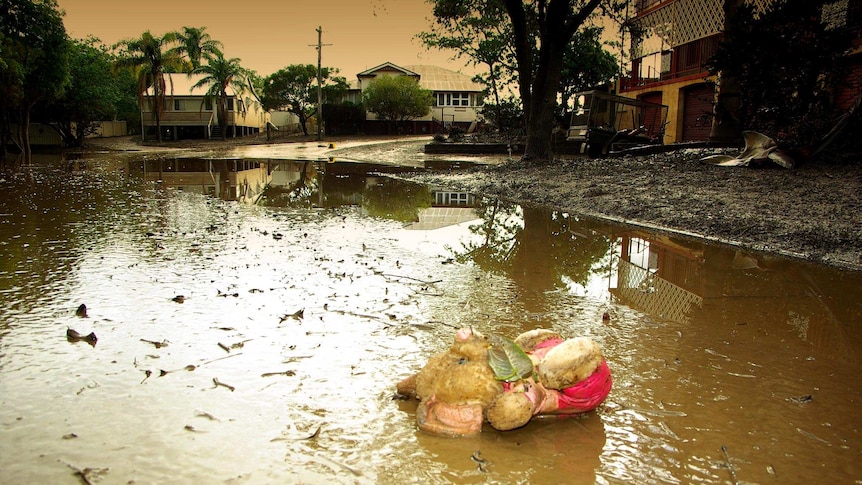 Teddy bear in Bundaberg street as floods recede.