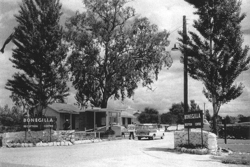 Black and white image of entry to Bonegilla Reception Centre. Trees in