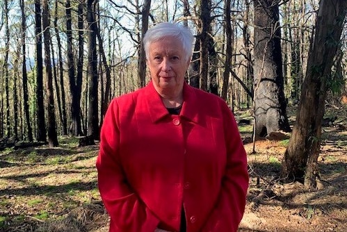 A woman wearing a red coat stands amid burnt bushland.