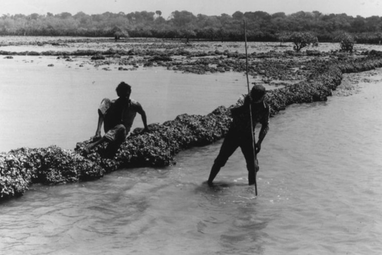 A black and white picture of two men, one using a spear to catch fish, another sitting on a wall nearby