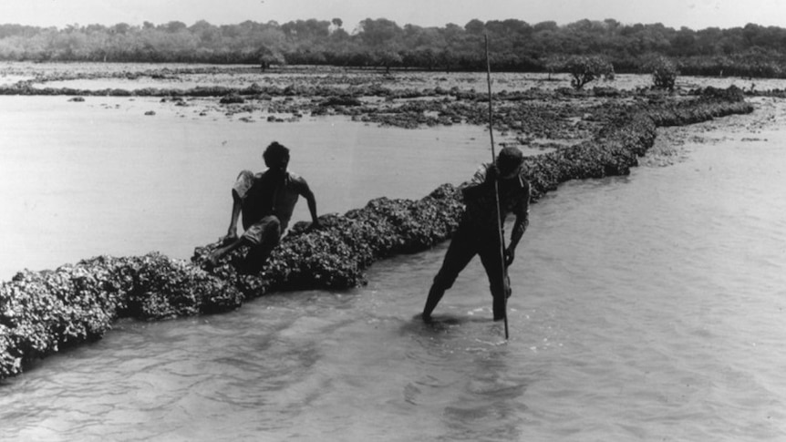 A black and white picture of two men, one using a spear to catch fish, another sitting on a wall nearby