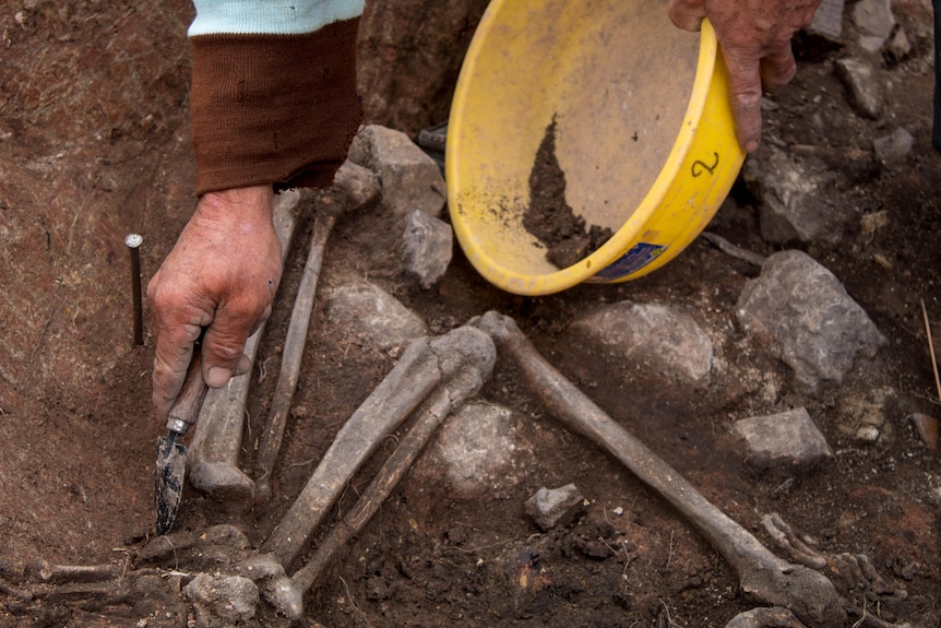 A hand holding a shovel and moving dirt into a yellow bucket away from bones stuck in dirt