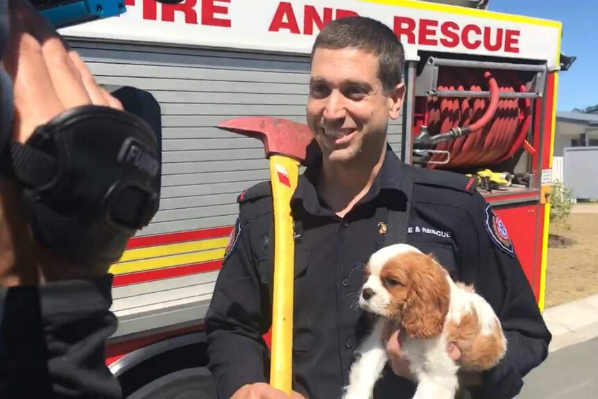 Firefighter looking at a tv camera smiling and holding a puppy.