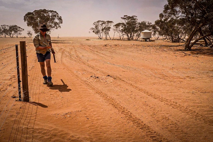 Drought-ravaged paddocks in the Millewa