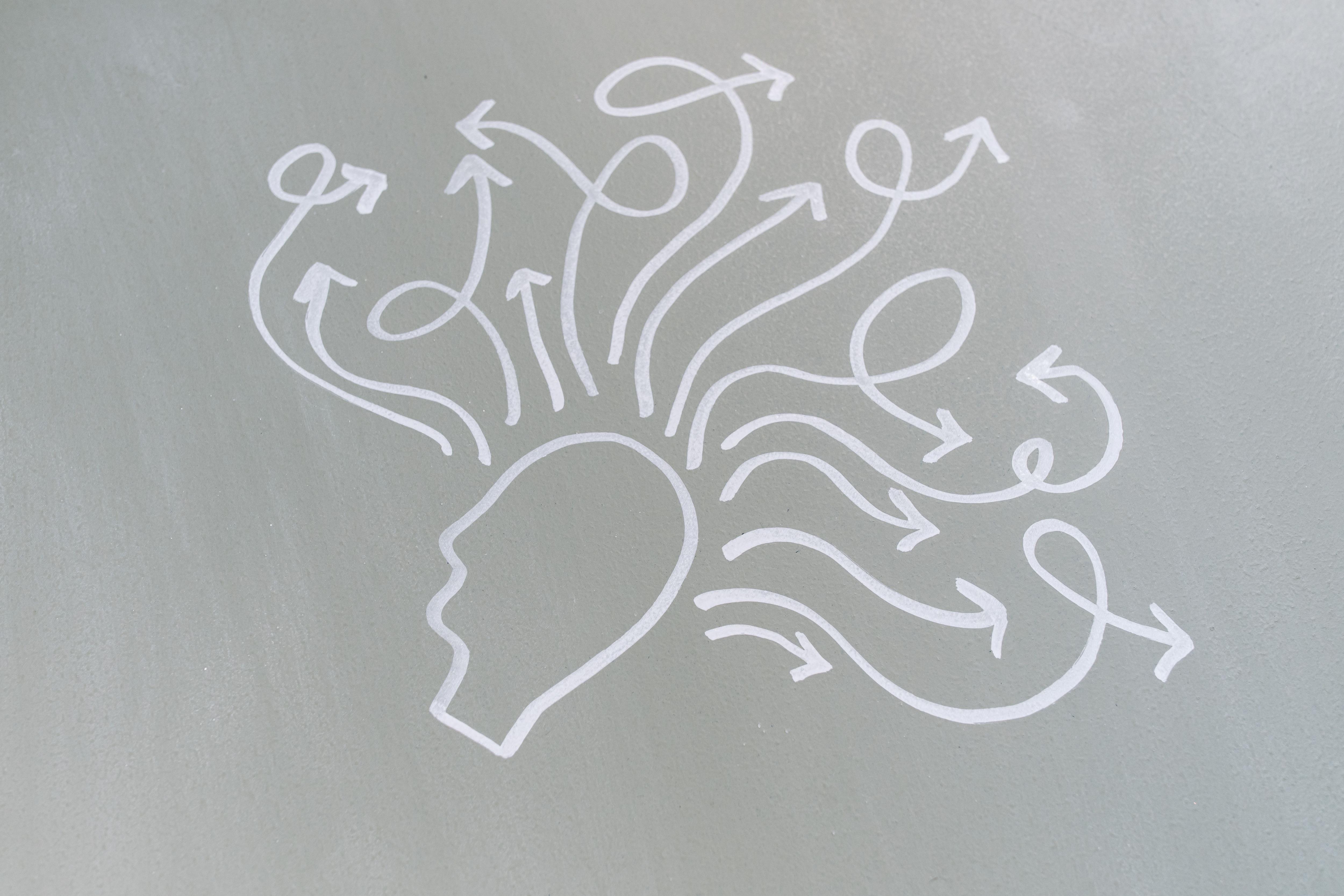 Too Dumb for Democracy? Why your brain struggles with good political decision-making