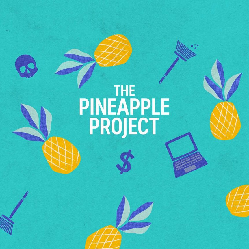 Pineapple Project Frugal