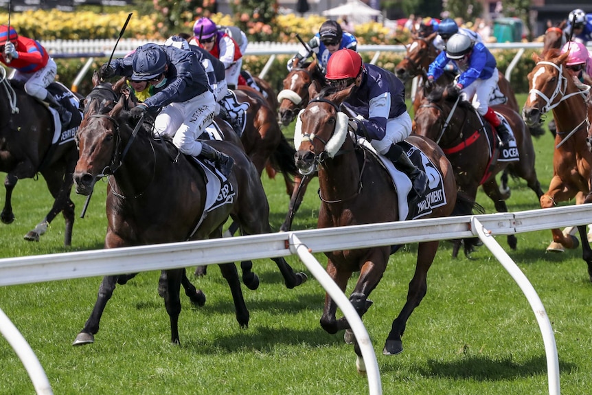 Two horses near the finish of the Melbourne Cup as the rider on left urges his mount with the whip.