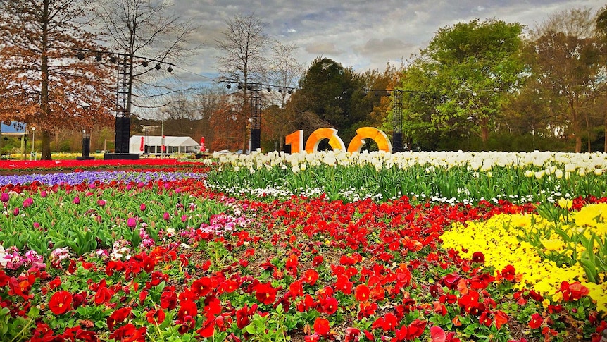 The Floriade display celebrates Canberra's icons and achievements as part of the city's centenary celebrations.