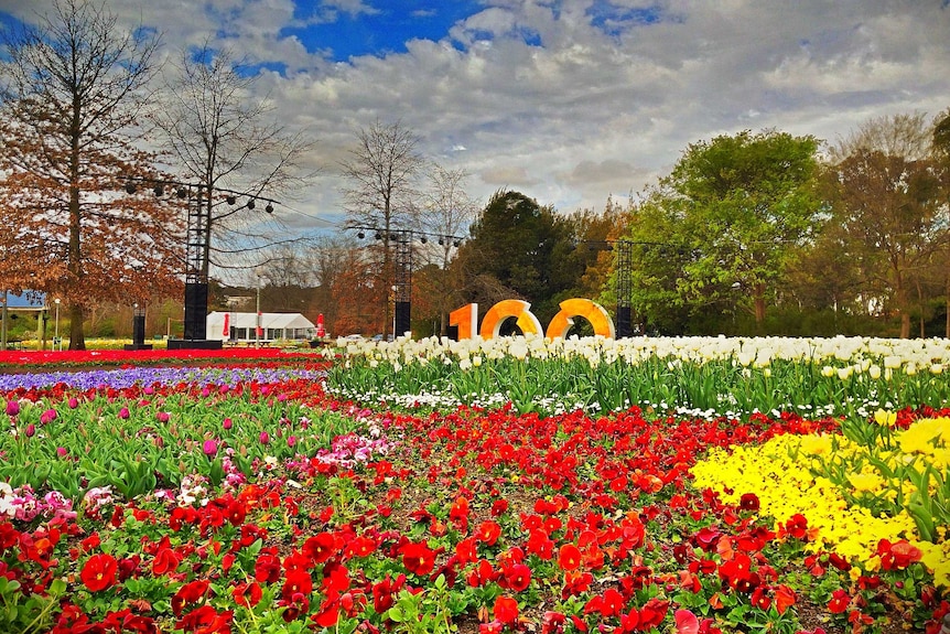 Floriade 2013 attracted almost 450,000 visitors.