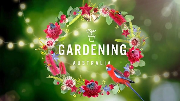 Graphic with a Christmas wreath with text 'Gardening Australia'