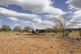 Shell of an upturned vehicle, Central Australia