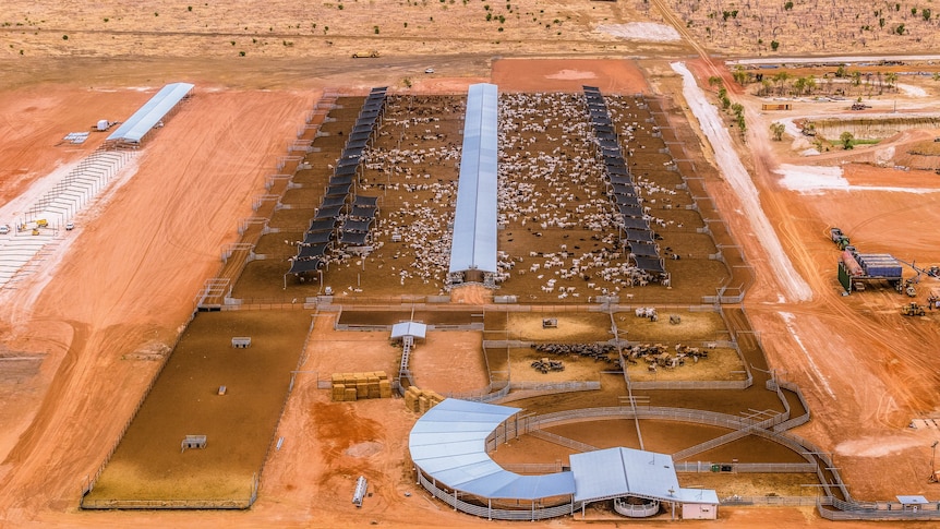 an aerial photo of a large feedlot.