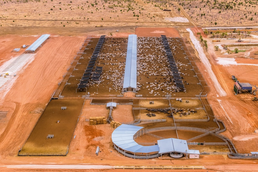 an aerial photo of a large feedlot.