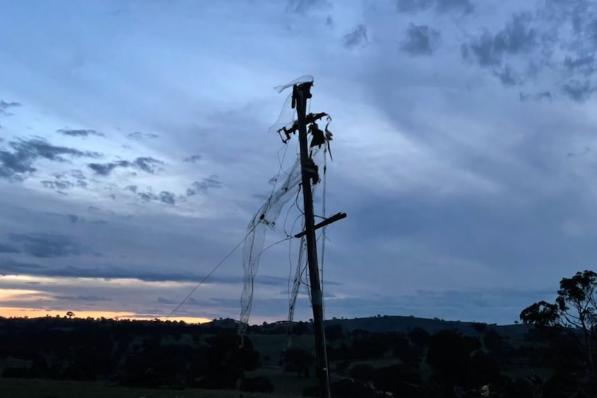 Clôture enroulée autour du poteau électrique