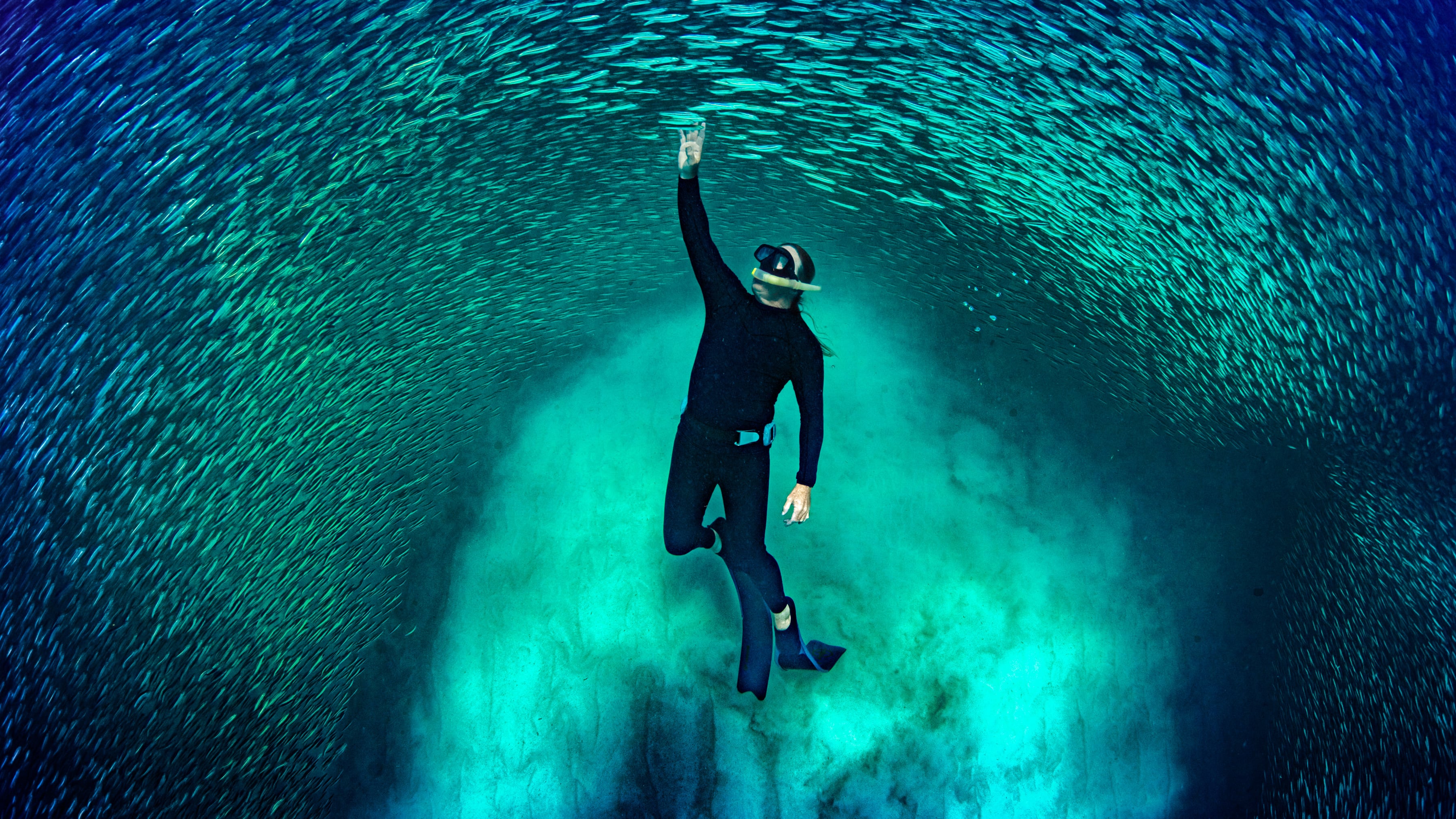 A diver swims underwater through a school of fish