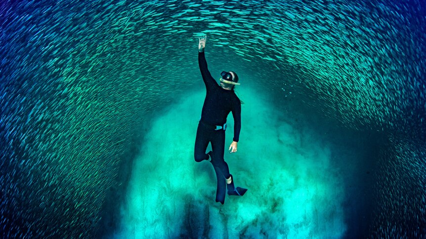 A diver swims underwater through a school of fish