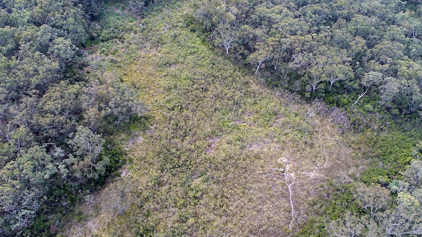 An aerial view of a Cordeaux Dam swamp.