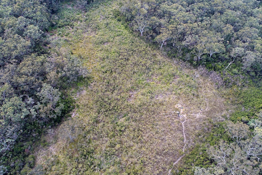 An aerial view of a Cordeaux Dam swamp.