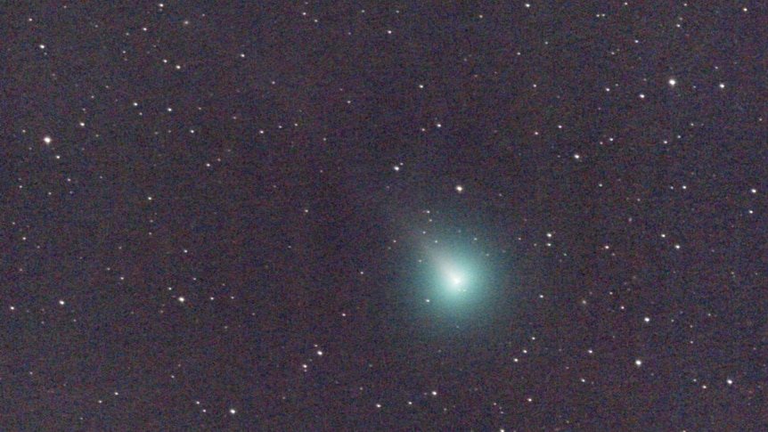 A bright blue spot of light on a dark night sky surrounded by stars. The blue light is comet SWAN.