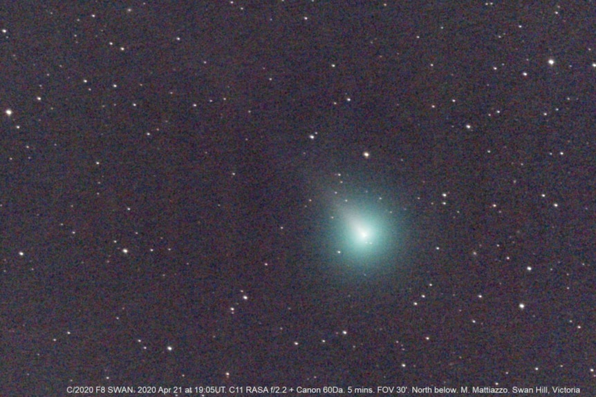 A bright blue spot of light on a dark night sky surrounded by stars. The blue light is comet SWAN.