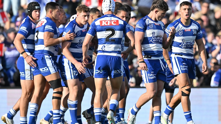 A group of rugby league players celebrate after scoring a try