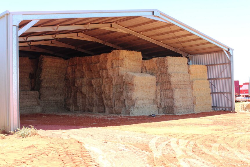 A large shed full of hay bales
