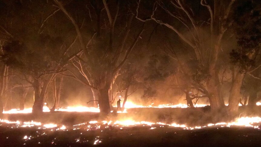 Farmers coming to term with losses from the Moyston bushfire