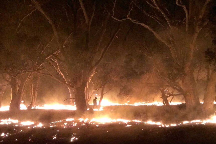 Farmers coming to term with losses from the Moyston bushfire