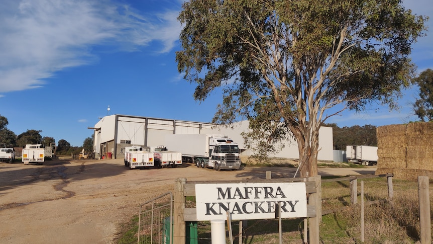 A knackery with a sign in front that reads 'Maffra Knackery' 