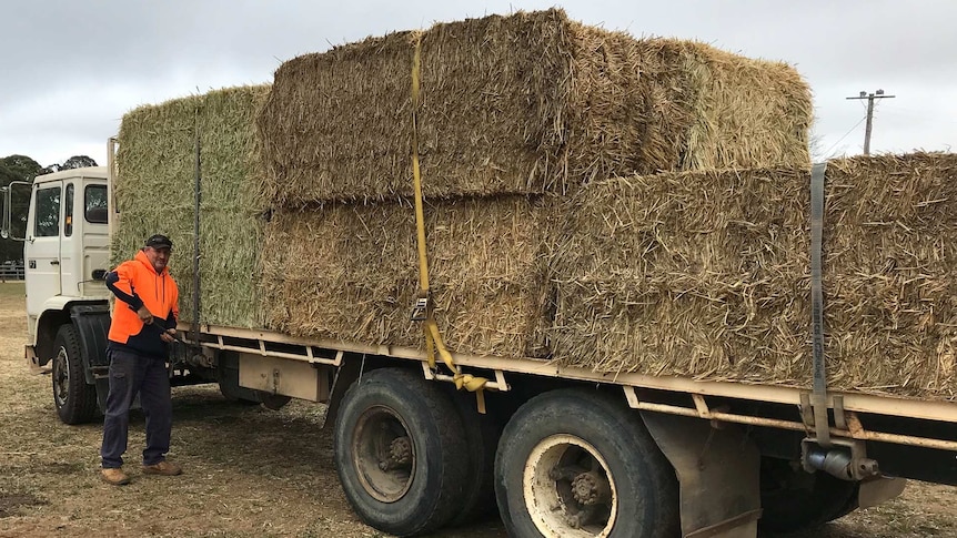 A flat back truck loaded with hay with a man at the side tightening the strap over the bales