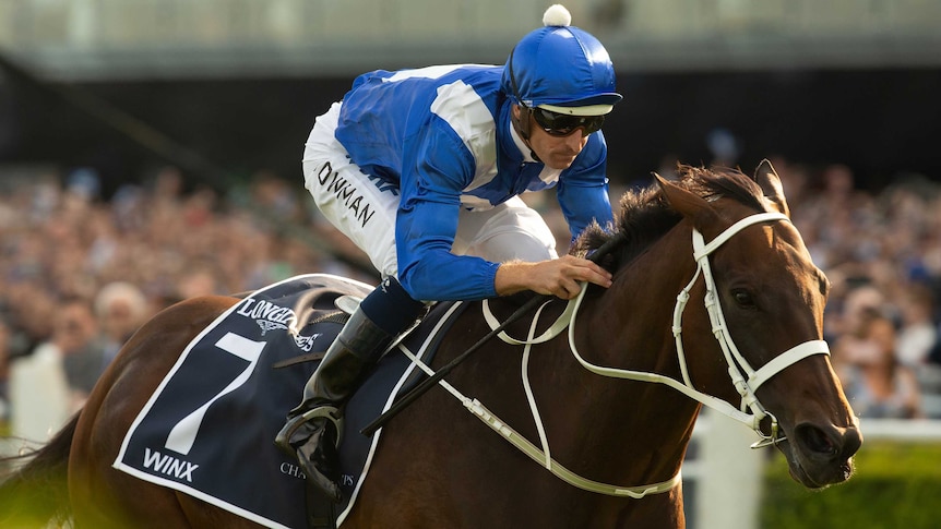 A jockey leans forward while riding a galloping horse during a race