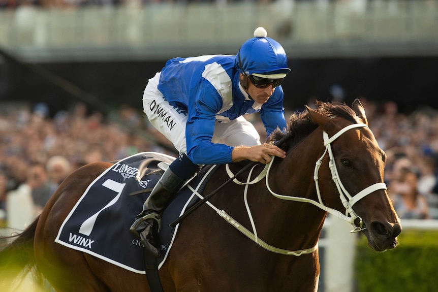 A jockey leans forward while riding a galloping horse during a race