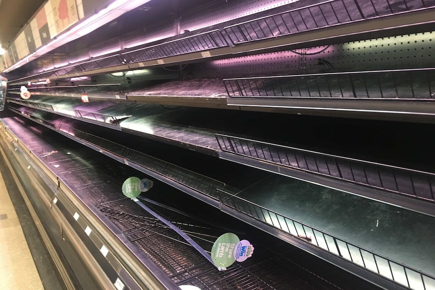 Supermarket shelves which have been recently cleared out.