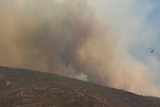 A helicopter flies into a smoke cloud above Mount Tennent.