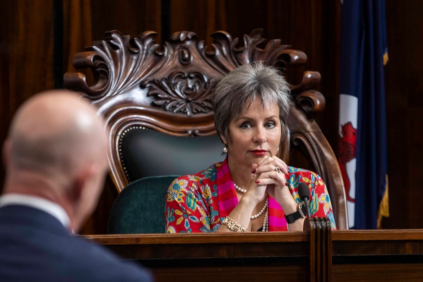 Sue Hickey, who is sitting in the speaker's chair in parliament looks at the Premier, Peter Gutwein, standing in front of her.