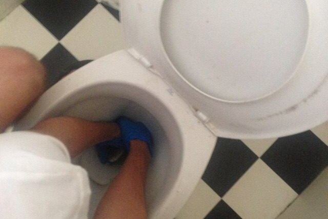 Elliot Budd trying to remove a carpet python from a toilet in Townsville.