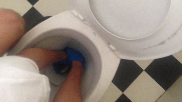 Elliot Budd trying to remove a carpet python from a toilet in Townsville.