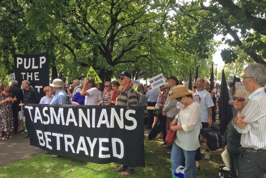 Anti-pulp mill protesters rally outside the Tasmanian Parliament which was recalled to debate legislation to shore up the project.