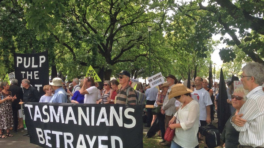 Anti-pulp mill protesters rally outside the Tasmanian parliament.