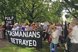 Anti-pulp mill protesters rally outside the Tasmanian parliament.