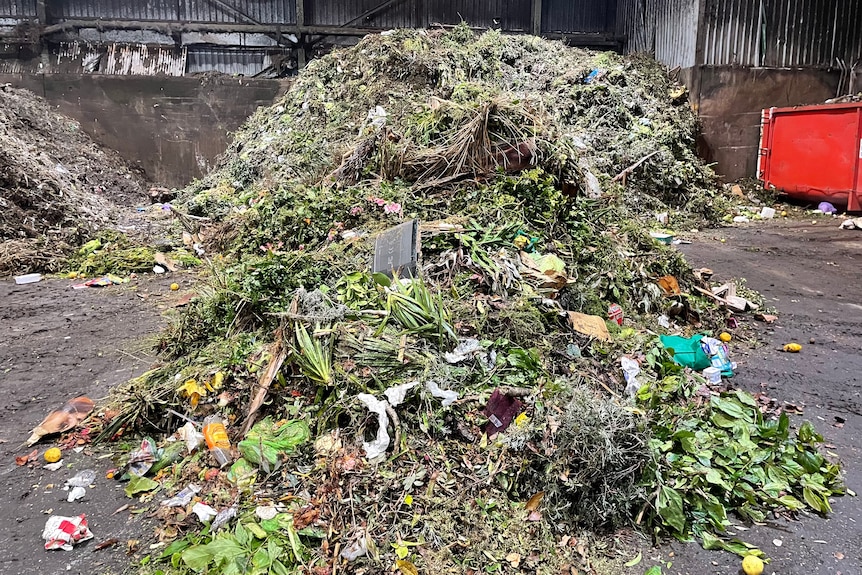 A pile of organic matter with bits of food scraps and grass is seen