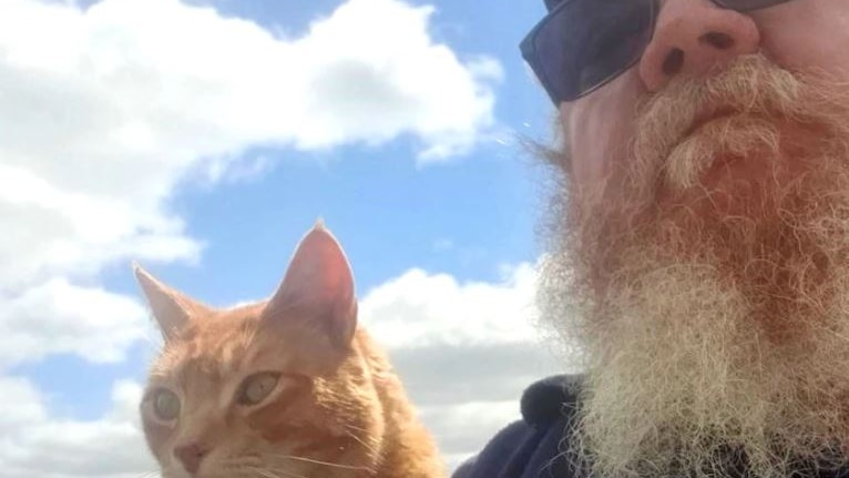 Photo of tabby cat with a man who has a beard