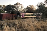 Carriages from a V-Line train and a freight train sit askew off the rails.