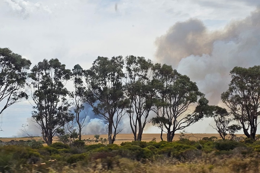 Smoke coming from behind trees in WA's outback