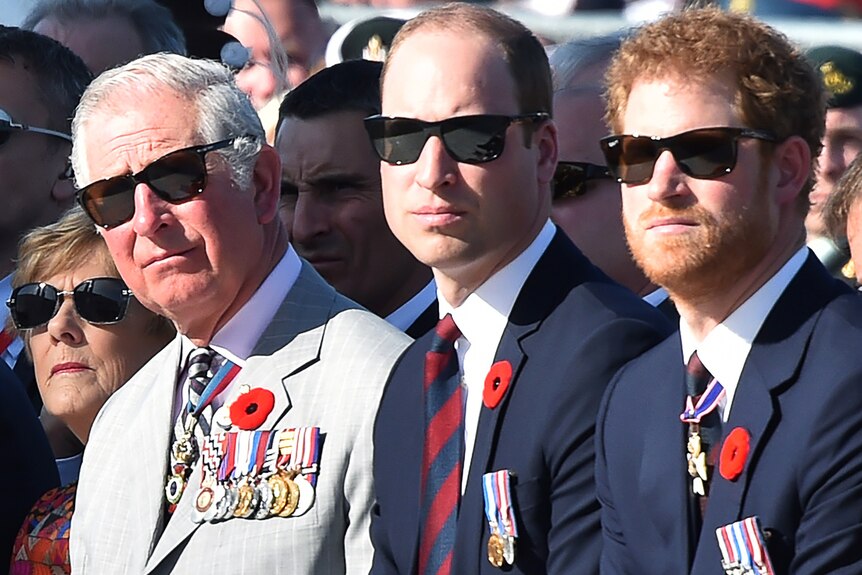 King Charles, Prince William and Prince Harry sit next to each other while wearing sunglasses.