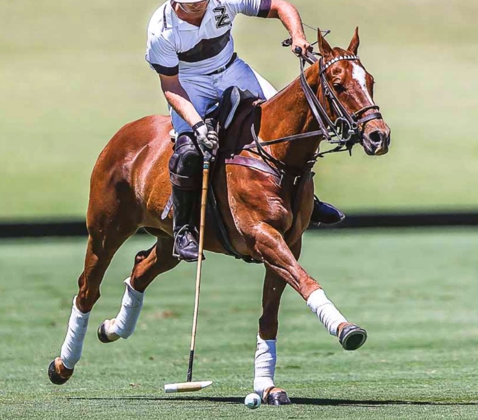 Polo Carnivals To Continue At Ellerston - ABC News