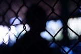 A shadowed figure behind a fence