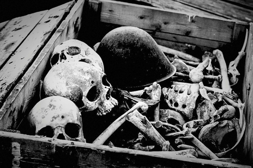 Skulls showing bullet holes from an Ethiopia massacre